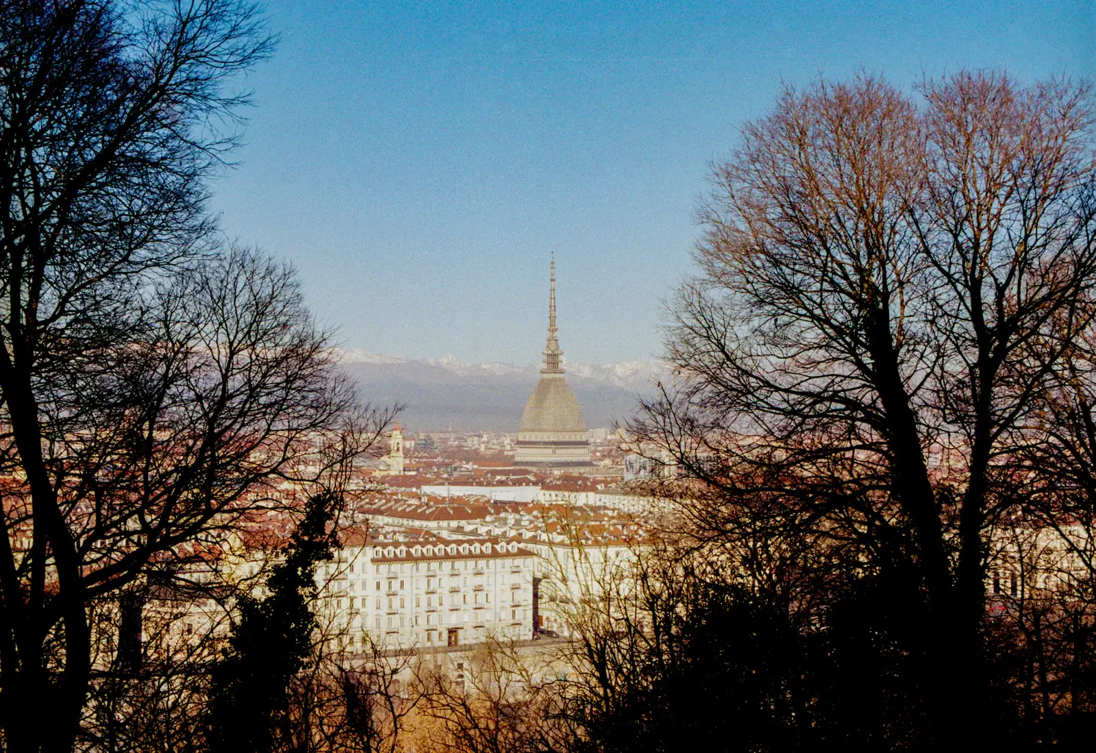 Torino con la Mole Antonelliana e le Alpi
